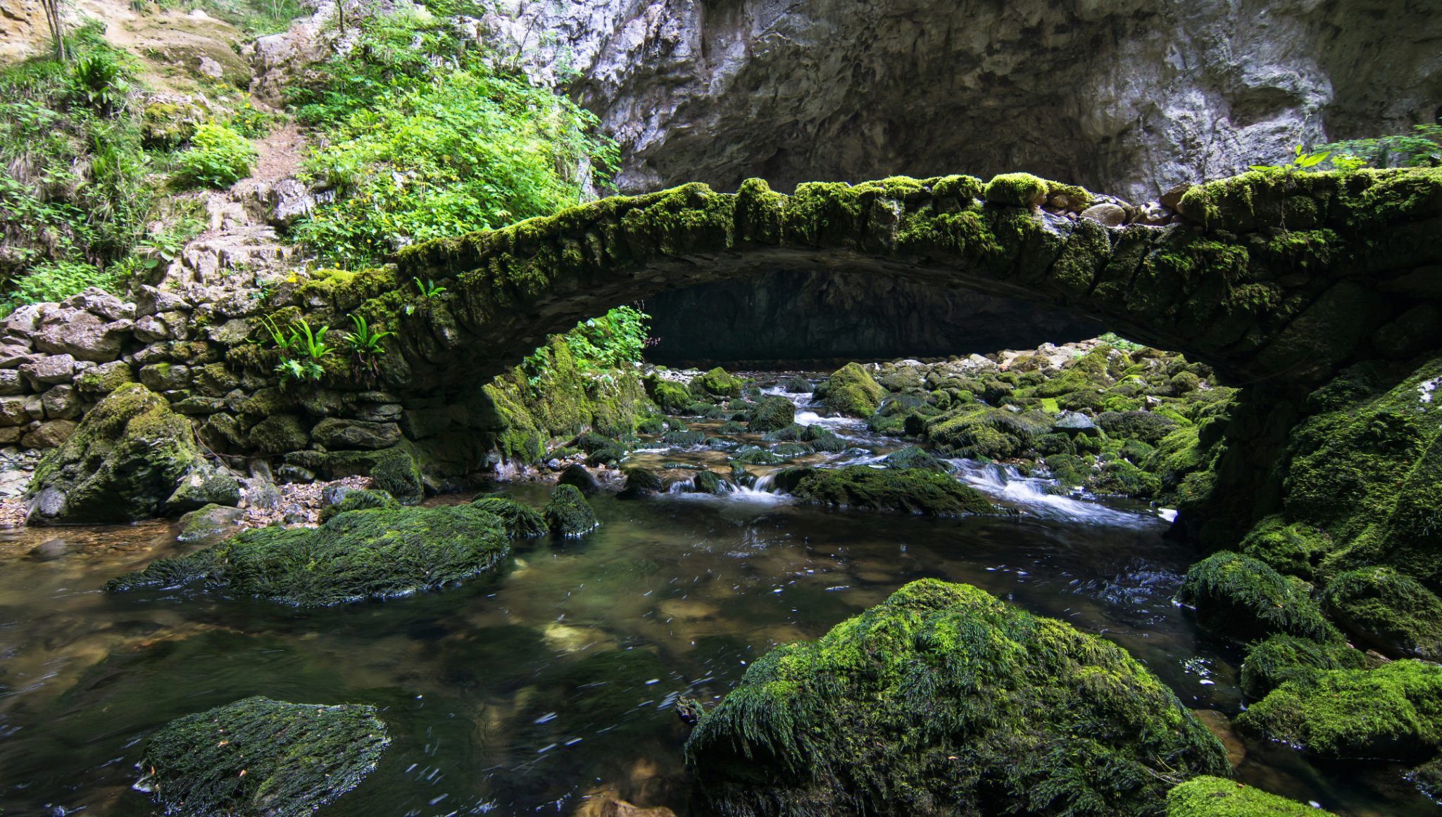Suojeltu vuodesta 1949, Rakov Škocjan on Slovenian vanhin luonnonpuisto.